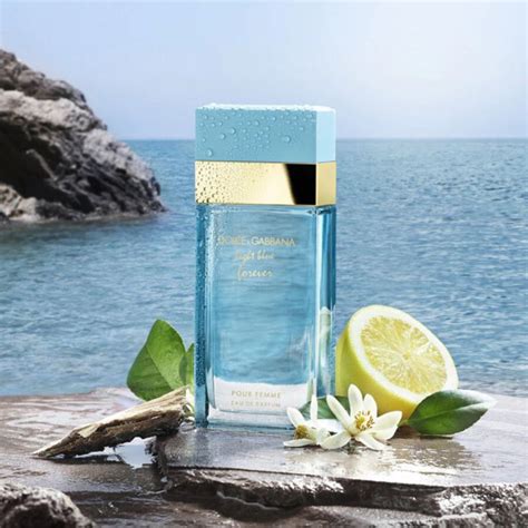 parfum dolce gabbana light blue pour femme|dolce and gabbana light blue cheapest price.